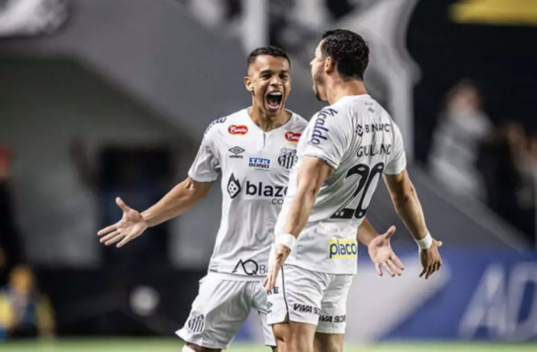 Confira o que falta para o Santos confirmar o acesso à Série A